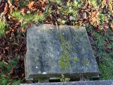 image of grave number 282658